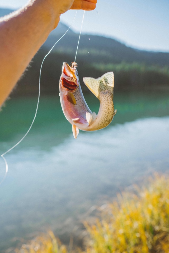 Chasse et Pêche